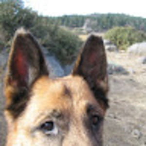 Meet your Posher, Scott